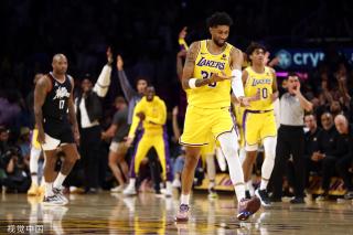 公众人物的 公众人物的